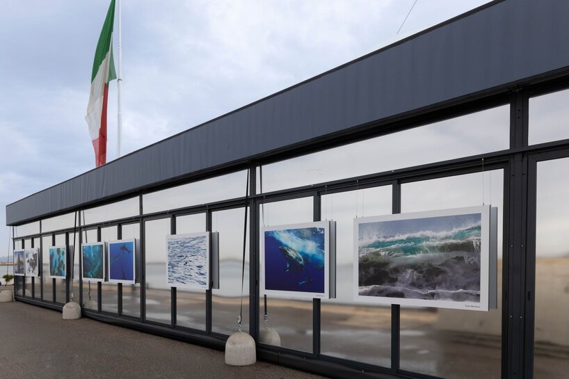 ‘we are all marine animals, we just forgot’ enzo barracco on oceans