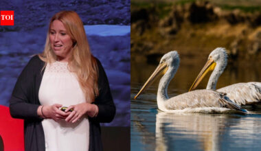 Meet Sacha Dench, the ‘Human Swan’ who helped secure a historic ban on lead ammunition in Britain and won the prestigious 2026 RSPB Medal; the move could protect hundreds of thousands of birds from lead poisoning