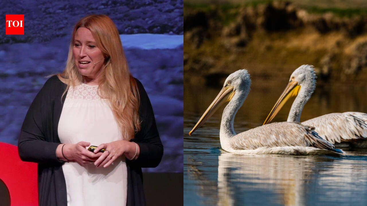 Meet Sacha Dench, the ‘Human Swan’ who helped secure a historic ban on lead ammunition in Britain and won the prestigious 2026 RSPB Medal; the move could protect hundreds of thousands of birds from lead poisoning