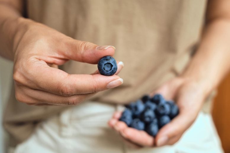 Woman Holding Organic Blueberry