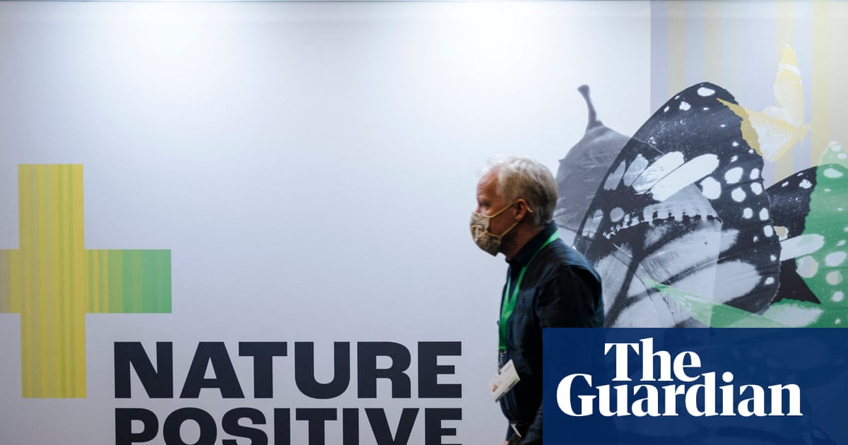Cop17 at a glance: everything you need to know about the UN’s nature summit | Cop17 biodiversity summit
