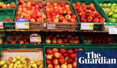 Core values: the Austrian scheme bringing forgotten apple varieties back to life | Fruit