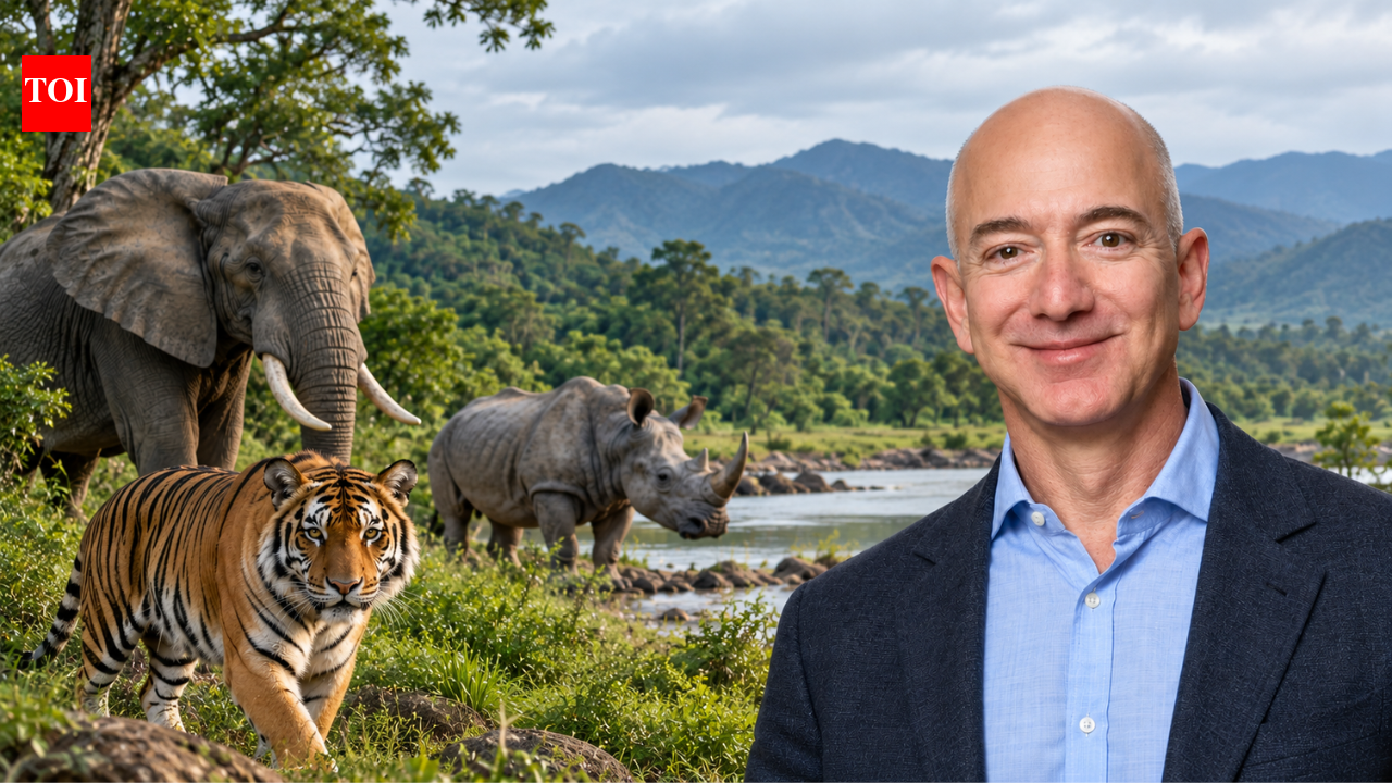 Jeff Bezos' Earth Fund joins eight other conservation groups in $500 million pledge to save world's most endangered species; alliance aims to prevent extinctions | World News