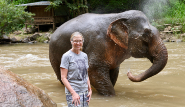 I Began To Heal At An Elephant Sanctuary