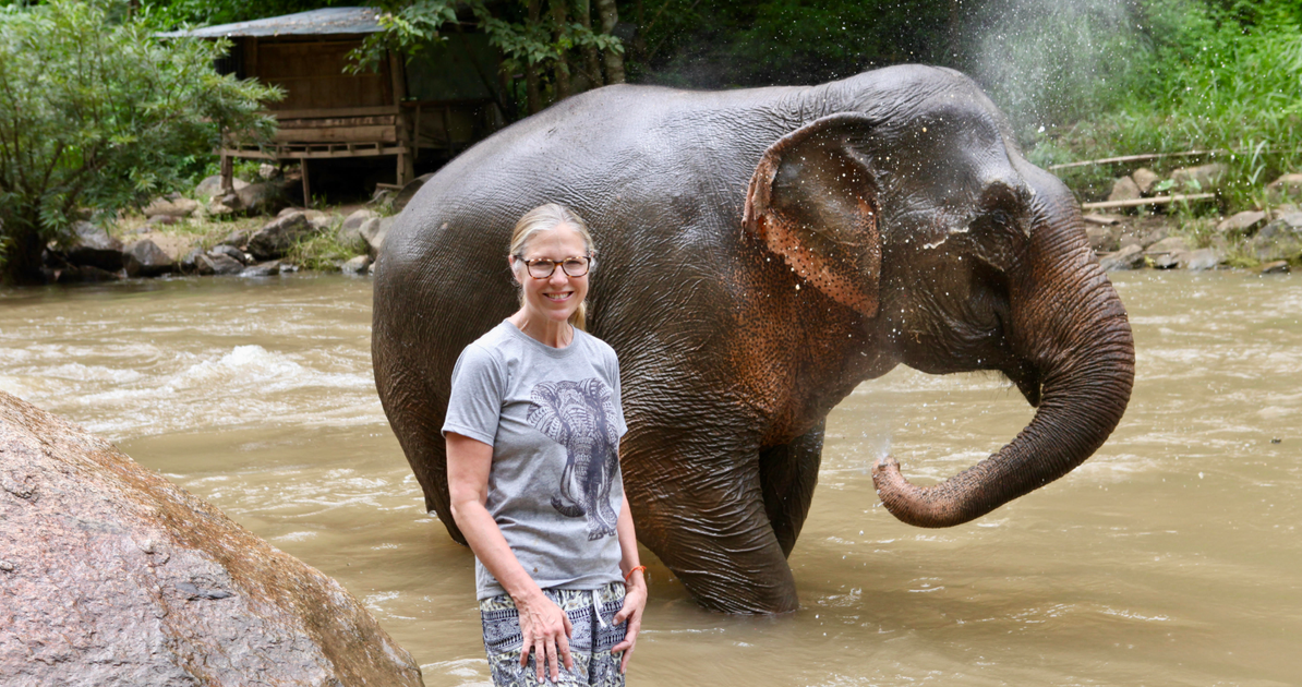 I Began To Heal At An Elephant Sanctuary
