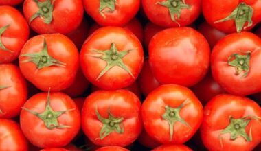 UK links Salmonella outbreak to Moroccan tomatoes