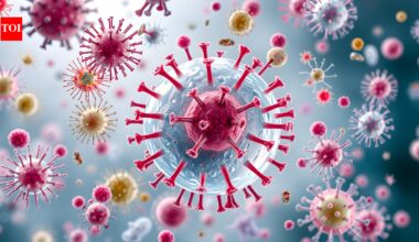 Shamonda virus: First human case reported in France after decades of animal infections; doctors explain symptoms, how it spreads, potential health risks, and precautions people should know