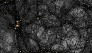 APOD: 2026 October 25 - Dark Matter in a Simulated Universe