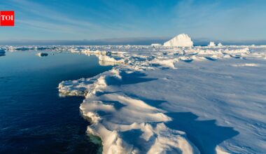 Arctic ice had been expanding for at least 1,000 years before reaching its greatest extent around 1960; researchers say greenhouse warming then reversed a natural slide toward another ice age