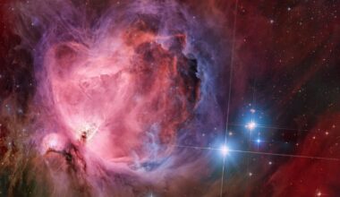 2026 October 26 - M42: The Great Nebula in Orion