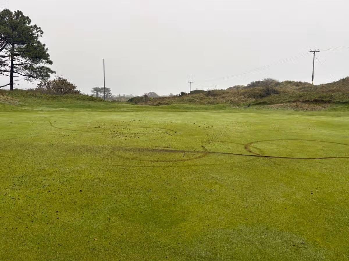 A damaged golf green