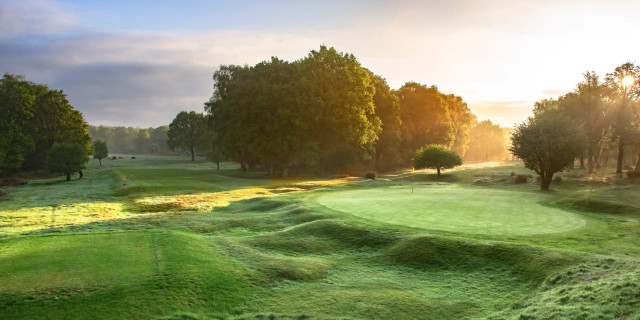 Berkhamsted Golf