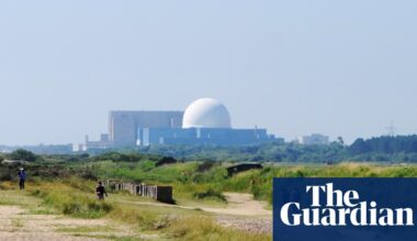 Green party drops longstanding opposition to nuclear power | Green party