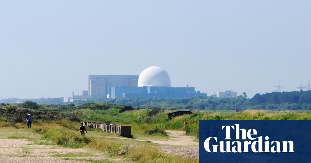 Green party drops longstanding opposition to nuclear power | Green party