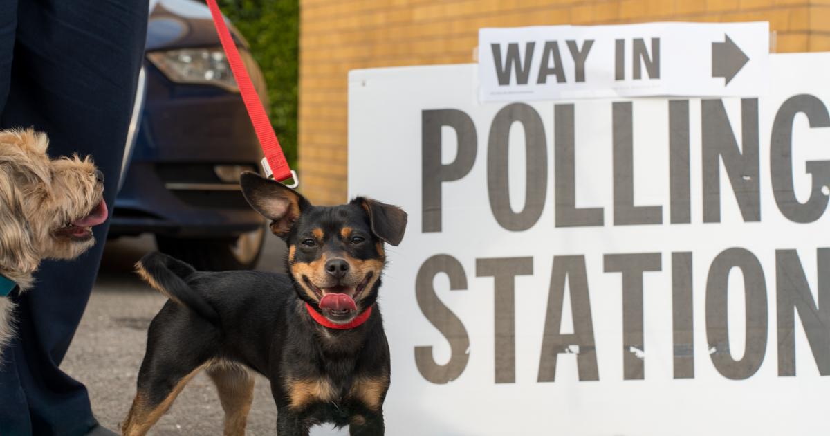 By-election could shift power at Wiltshire Council