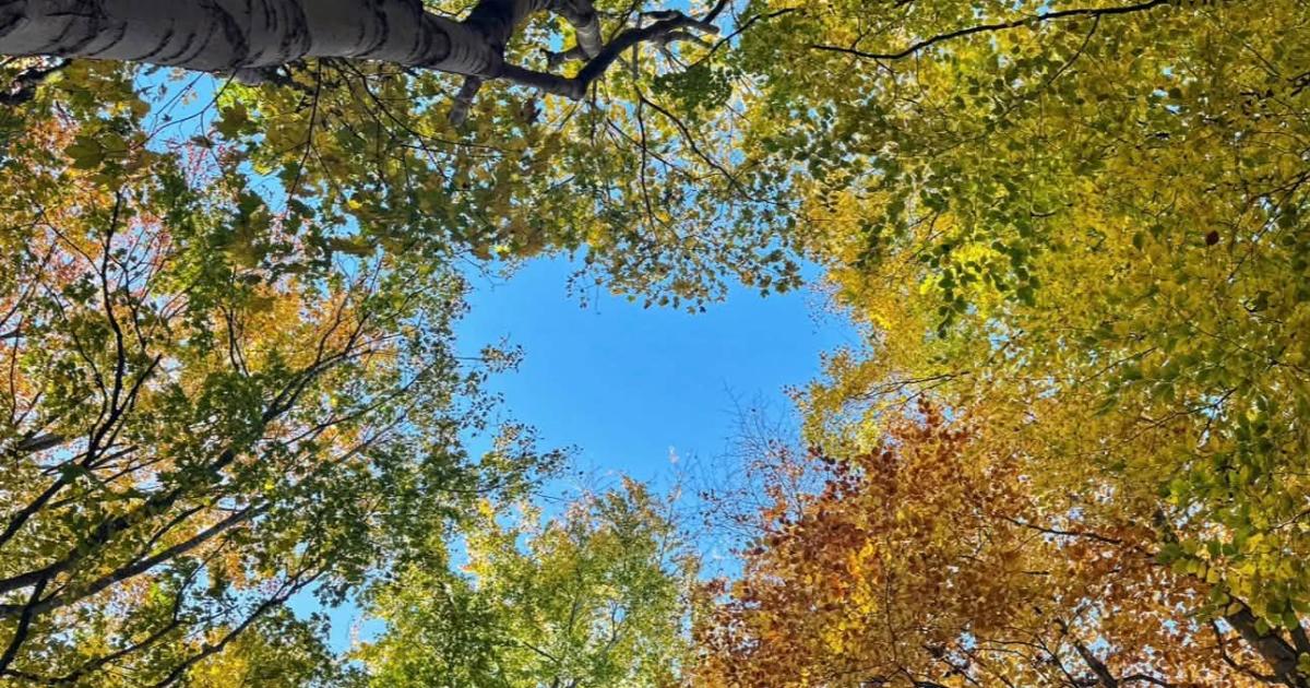 Reading Chronicle readers capture Berkshire autumn beauty