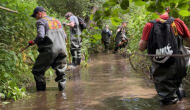 'Highest-ever' pollution levels recorded in River Gipping