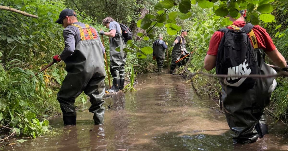 'Highest-ever' pollution levels recorded in River Gipping