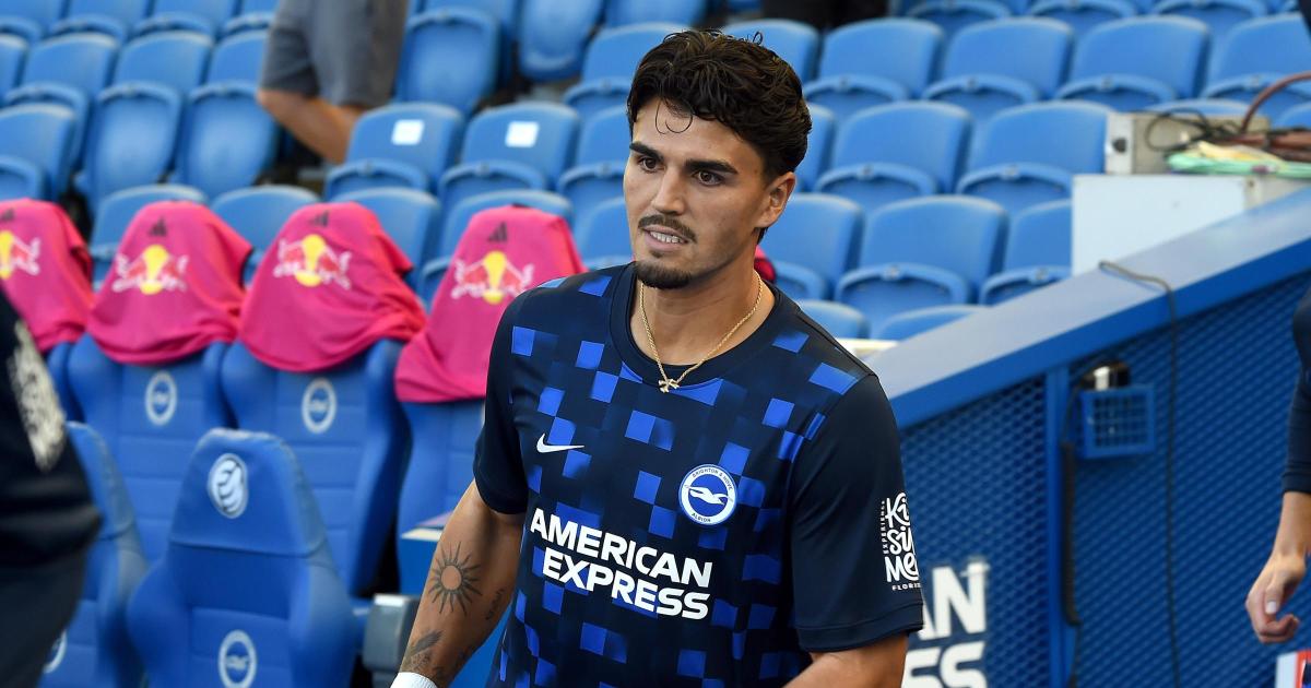 Pascal Struijk and Femi Azeez out of Brighton's clash