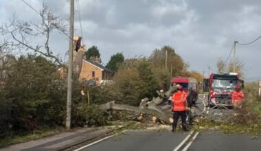 Around 200 homes without power after tree damages pole