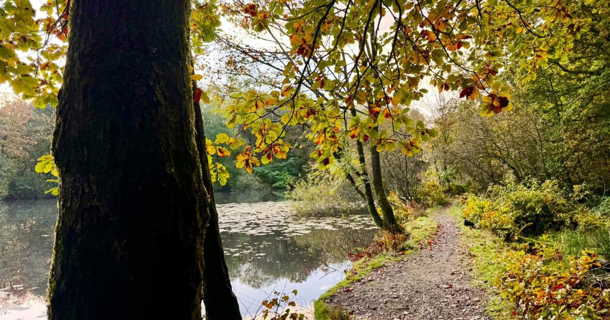 Historic Firwood Fold features in ITV's new drama Adultery