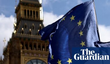 UK could quickly re-enter EU with ‘Switzerland plus’ deal, senior MEP says | Brexit
