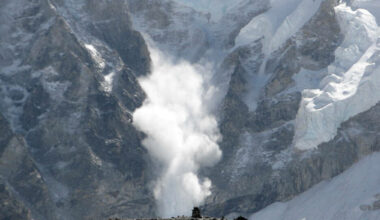 Swamped curl maintainers take low-level flaws public to survive vulnerability 'avalanche'