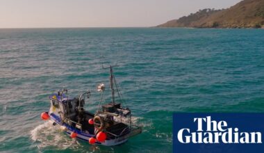 Floating scarecrows: how Cornish fishers are stopping seabirds drowning in their nets | Fishing
