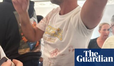 What we know so far about alleged stabbing of pilot by co-pilot on flight to Israel | Israel