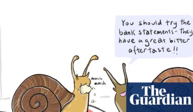 Snail ate your mail? Why gastropods munch paper – and how to stop them | Gardens