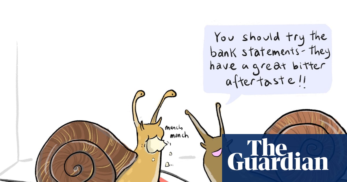 Snail ate your mail? Why gastropods munch paper – and how to stop them | Gardens