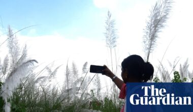 World Bank says ‘small AI’ could transform developing countries | AI (artificial intelligence)