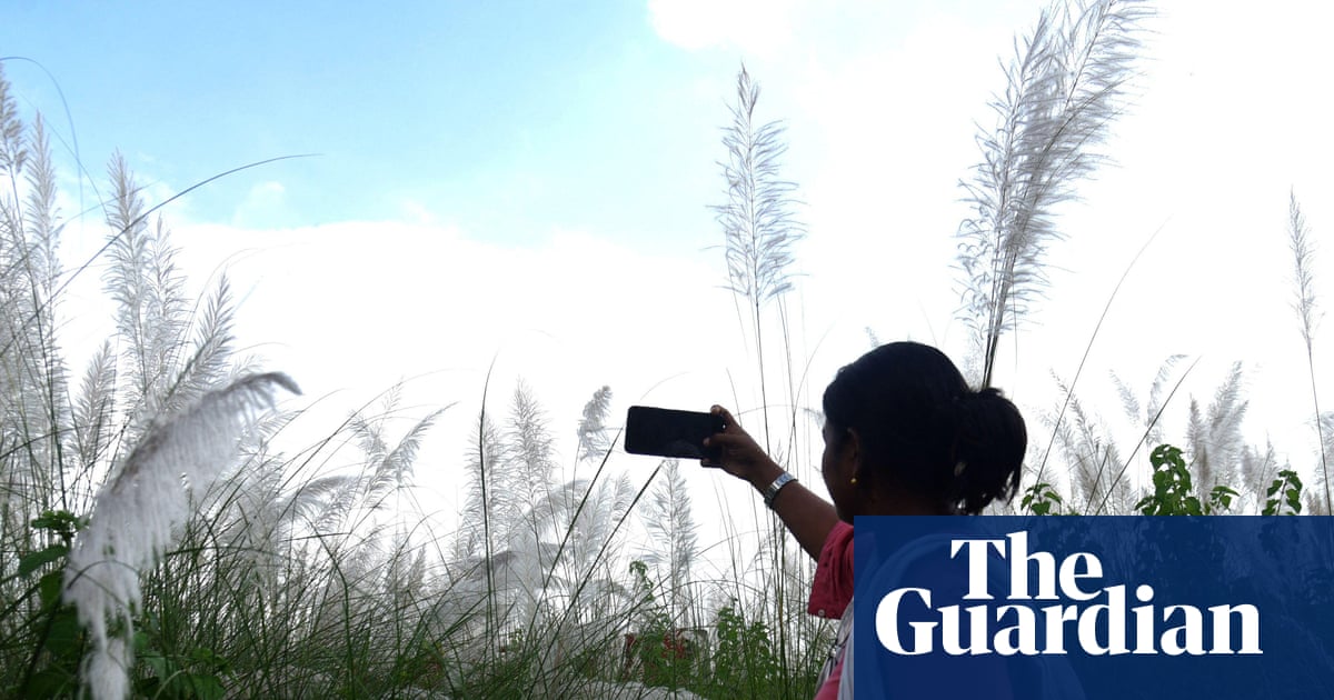 World Bank says ‘small AI’ could transform developing countries | AI (artificial intelligence)