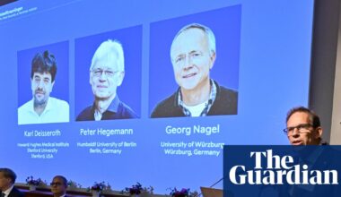 Nobel prize in medicine 2026 awarded for research into mysteries of brain | Nobel prizes