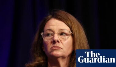Australians should prepare for online services to go down unexpectedly as threats rise, cyber agency warns | AI (artificial intelligence)