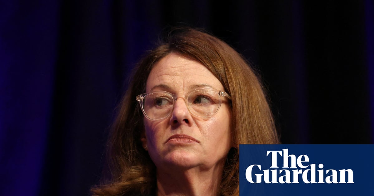 Australians should prepare for online services to go down unexpectedly as threats rise, cyber agency warns | AI (artificial intelligence)
