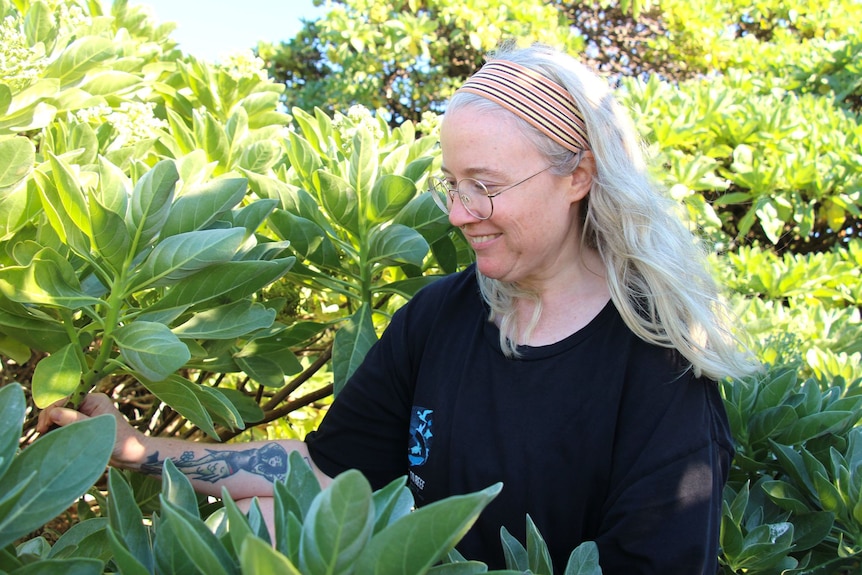 A woman with glasses and long grey hair looking at plants on a sunny day. 