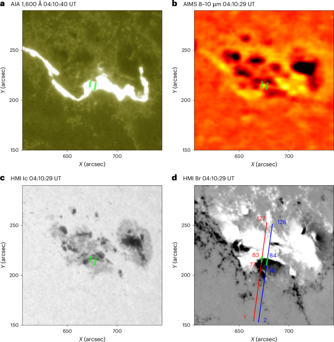 Apparent magnetic field decay in a solar flare from Zeeman splitting of the Mg I 12.32-µm line