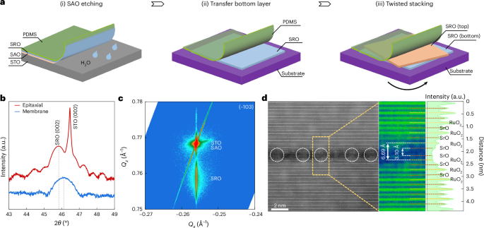 Polarization vortices in a ferromagnetic metal via twistronics