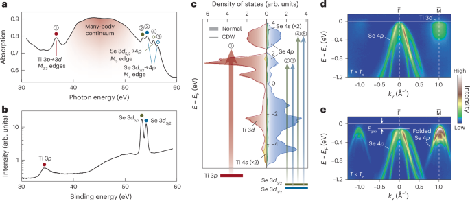 Short-range excitonic correlations and enhanced excitonic susceptibility in 1T-TiSe2