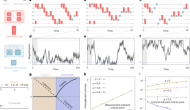 Order from chaos with adaptive circuits on quantum hardware
