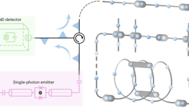 Deterministic and programmable fusion for the scalable generation of photonic graph states