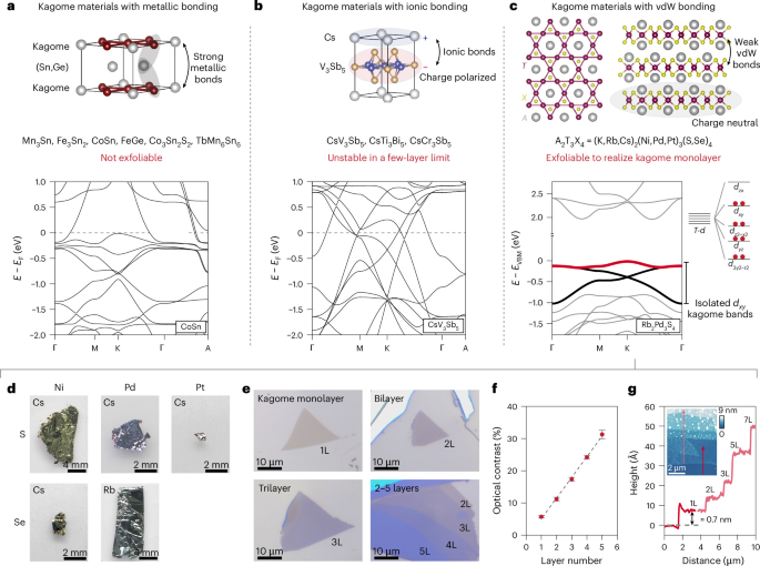 Monolayer van der Waals kagome lattice for high-temperature flat-band physics
