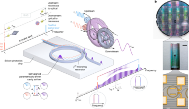 Self-aligned optical microcomb emerging between octave-separated lasers