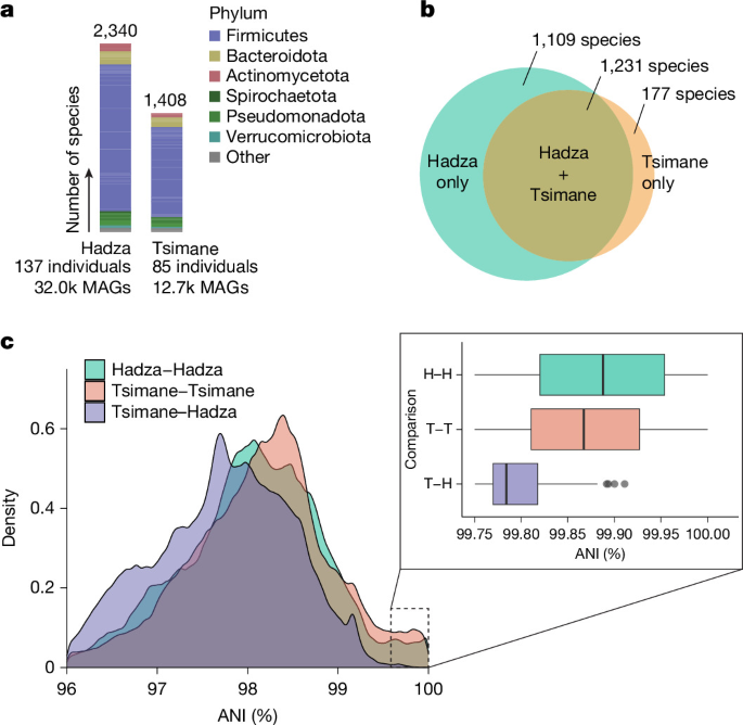 Prehistoric global migration of vanishing gut microbes with humans