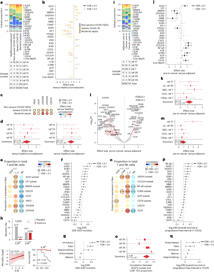 Fig. 4: Neutrophil subsets associate with diverse disease outcomes.