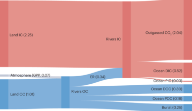 The riverine land-to-ocean carbon flux