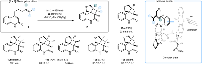 Fig. 5: Enantioselective intramolecular [2 + 2] photocycloaddition reactions promoted by catalyst 6a.