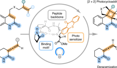 Photocatalytic tetrapeptides for enantioselective visible light-induced transformations