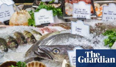 Scale back on hake and coley, seafood charity tells shoppers | Fishing